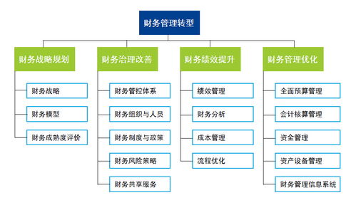 德勤财务管理咨询业务与职业发展前景评价