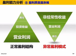 总经理的财务管理 从数字到决策的领导力指南