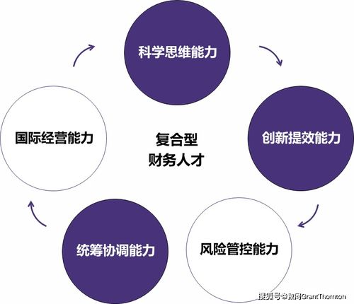 图解中央企业财务管理新蓝图 迈向世界一流的实践路线